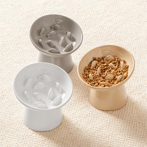 Ceramic Slow Feeder Cat Bowl, 6.25 Inch Elevated Cat Slow Feeder Bowl, Anti Vomiting for Dry and Wet Food, White