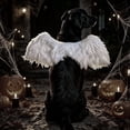 thumbnail image 4 of Halloween Pet Angel Wings for Dogs and Cats, Furry Plush Cosplay Accessory with Adjustable Straps, White/Black Single Piece (46cm x 15cm), 4 of 8