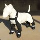 thumbnail image 4 of Bota para perros Methold con tirantes negro XL, 4 of 6