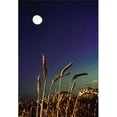 thumbnail image 1 of Posterazzi DPI1829068LARGE Wheat Field At Night Under The Moon Poster Print by The Irish Image Collection, 24 x 36 - Large, 1 of 1