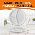 thumbnail image 4 of Cheer Collection Compostabe 9 Inch Compartment Paper Plates, White, 200 Pack, 4 of 5