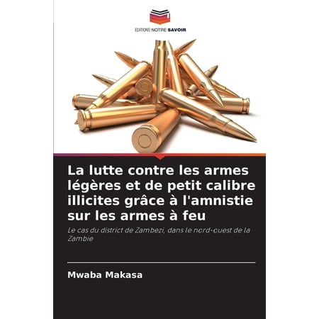 La lutte contre les armes lÃ©gères et de petit calibre illicites grÃ¢ce Ã l amnistie sur les armes Ã feu (Paperback)