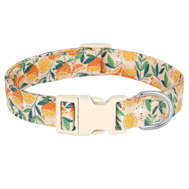 Pet Artist Fancy Floral Dog Collar Quick Fit Buckle Pets  display picture 1