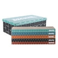 thumbnail image 2 of THE LICKER STORE Naomi 17" Modern Cardboard Reversible Cat Scratcher Pad in Box with Catnip, Multi-Colored (5-Pack), CSR1009A, 2 of 8