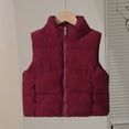 thumbnail image 3 of StSilkitty Boys Girls Vest Zip up Sleeveless Stand Collar Jackets Outerwear Winter Outdoor Warm Vest with Pockets, 3 of 9