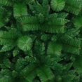 thumbnail image 4 of ALEKO Traditional Artificial Indoor Christmas Holiday Tree - 6 Foot, 4 of 4