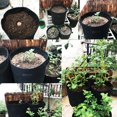 thumbnail image 3 of Bolsa de crecimiento de plantas Ticfox para tomate y patata color marrón, 3 of 14