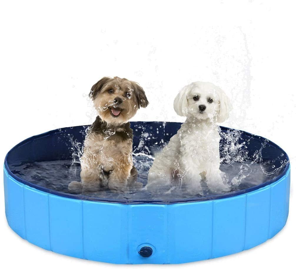 kiddie pool for puppies