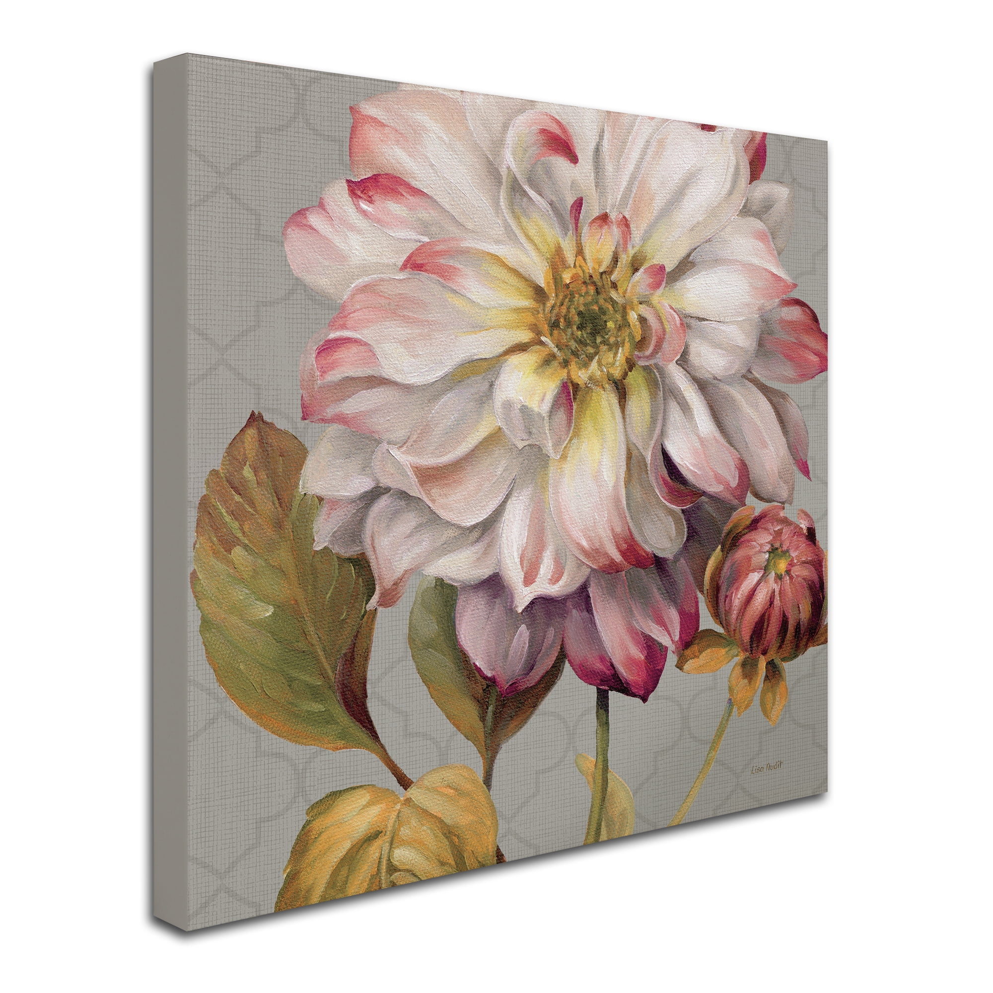 Trademark Fine Art "Classically beautiful II" Canvas Art by Lisa Audit