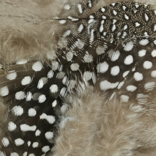 Guinea Fowl Feathers, 4 Grams, Natural