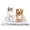 Gray,S(23*15in), variant on Zacenei Dog Bed Mat,Soft & Comfortable Dog Kennel Pad, Multi-Purpose Dog Crate Bed & Dog Bed Mats Durable Dog Plush Crate Mat for Dog & Cat-Ideal for Crate, Kennel, Home Use [Gray,L(33*22in)]