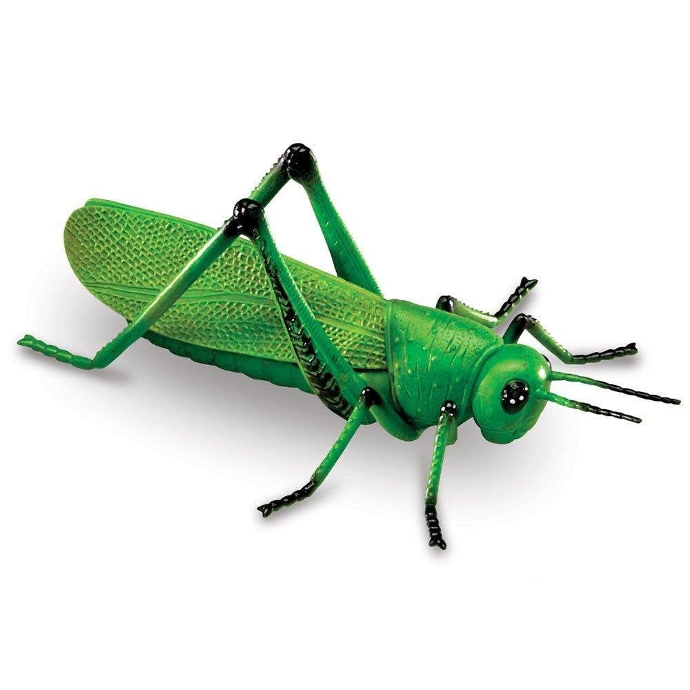 plastic grasshopper toys