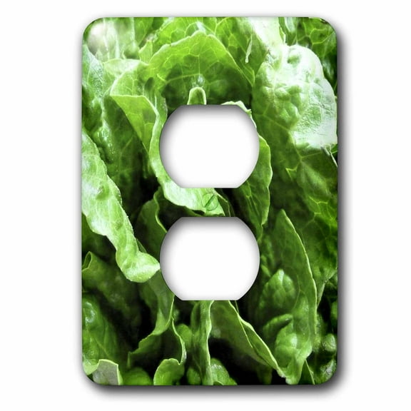 3dRose, Lettuce Be, 2 plug outlet cover
