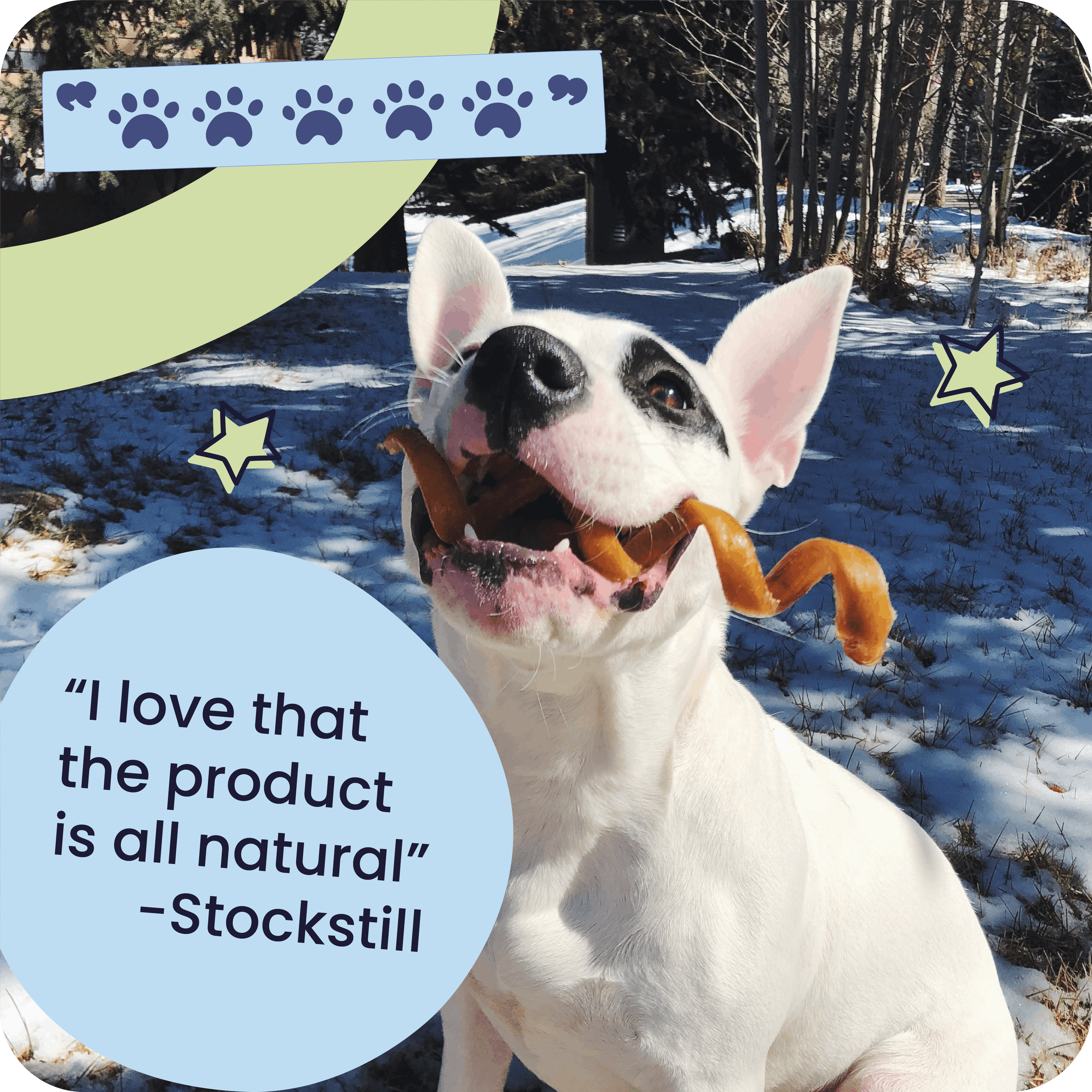 Pawstruck All-Natural 4" Bully Stick Rings for Dogs, 3 count