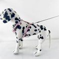 thumbnail image 4 of Harnais en Cuir Clouté pour Chiot, Gilet pour Petites Races, 4 of 5