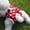 red, variant on Pet Physiological Pants for Dogs - Cute Princess Style, Adjustable Waist, Breathable Polyester, with Bowknot (Yellow Leaf & Red Polka Dot, S-XL)