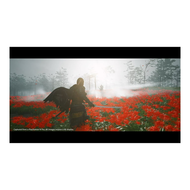 PlayStation4 - 【PS4】Ghost of Tsushima Director&#39;s Cut Ghost of Tsushima DIRECTOR'S CUT - Mise à niveau