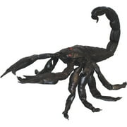 Giant Life-Like Scorpion