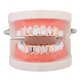 thumbnail image 4 of Hip Hop Teeth Grills Caps Cara abierta Vampire 6 Fang Protectores bucales Oro rosa Hugo Parrillas Dientes Colmillos, 4 of 6