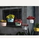 thumbnail image 4 of Maceta Colgante De Plástico Autoabsorbente Lazy Pot Phalaenopsis Verde Y Suculenta Maceta De Pared Para Orquídeas De Jardín, 4 of 4