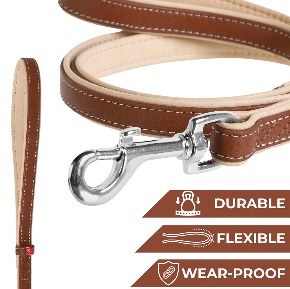 WAUDOG Heavenly Soft Leather Dog Leash | Special Design Leather Leash for Training & Walking Cute Small, Medium Large Dogs | Strong Climbers Clip, Perfect for Puppy, Small Boy & Girl Dogs - Black