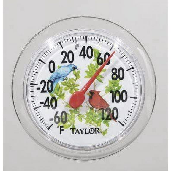Taylor Thermometer Indoor/Outdoor -60 To 120 Deg F 6" Dia. Clear