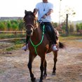 thumbnail image 4 of Flmtop Equestrian Strap Reflective Adjustable LED Flashing Horse Riding Belt for Outdoor Red, 4 of 9