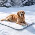thumbnail image 6 of AuroraX Pet Cooling Mat for Cats Vibrant Indoor Pressure Activated Non Gel Ice Silk Cooling Mat for Dogs Non-Electric Non-Toxic Cooling Pads for Dogs to Lay on, 6 of 8
