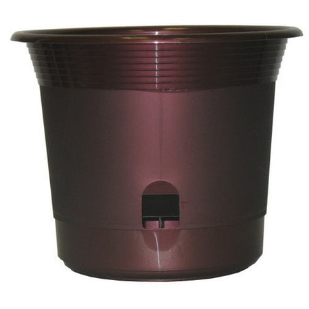 UPC 620970006651 product image for Apollo Plastics 6inch Olive Self-Watering Planter E006-OLIVE - Pack of 6 | upcitemdb.com