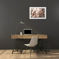 thumbnail image 3 of Shandor, Ve 18x13 White Modern Wood Framed Museum Art Print Titled - Dawn Of Blossom, 3 of 4