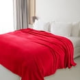 thumbnail image 4 of Yeciiwht Super Soft Warm Solid Warm Fleece Blanket, Comforter Blankets Twin/Twin XL, Reversible Lightweight Microfiber All Season Blanket, 39x59in, 4 of 6