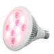 thumbnail image 1 of Luz De Fisioterapia Infrarroja, Lente óptica Multifuncional Que Promueve La Circulación Sanguínea, Alivio Del Dolor, Lámpara De Terapia De Luz Roja Para Hospital Para Cuello YLSHRF Infrared Therapy Light, 1 of 8