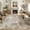 Brown, variant on MICGEEK 8x10 Washable Area Rugs for Living Room, Modern Abstract Printed Rug, Vacuum-Friendly, Non Slip Indoor Rug for Bedroom Dining Room Home Decor Carpet, Brown
