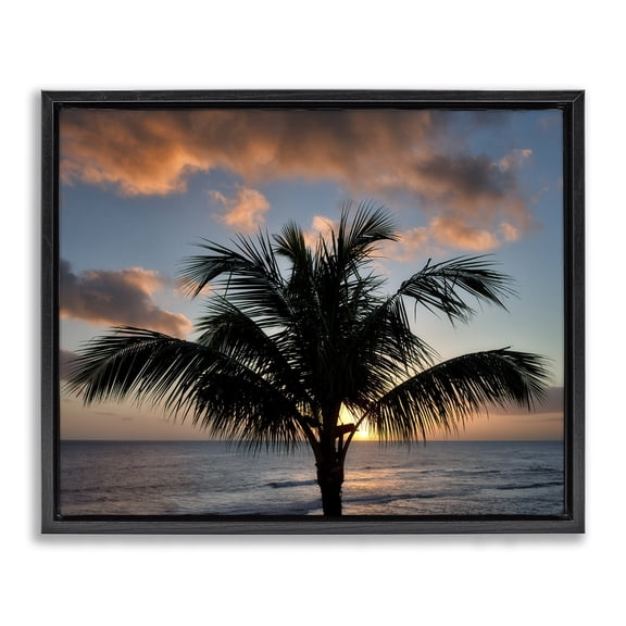 Stupell Industries Coastal Tropical Palm Photography Black Floating Frame Canvas Art, 31 x 25, by Dennis Frates