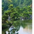 thumbnail image 3 of Ambesonne Nature Duvet Cover Set, River Landscape Trees, 2-Calking, Green, 3 of 6