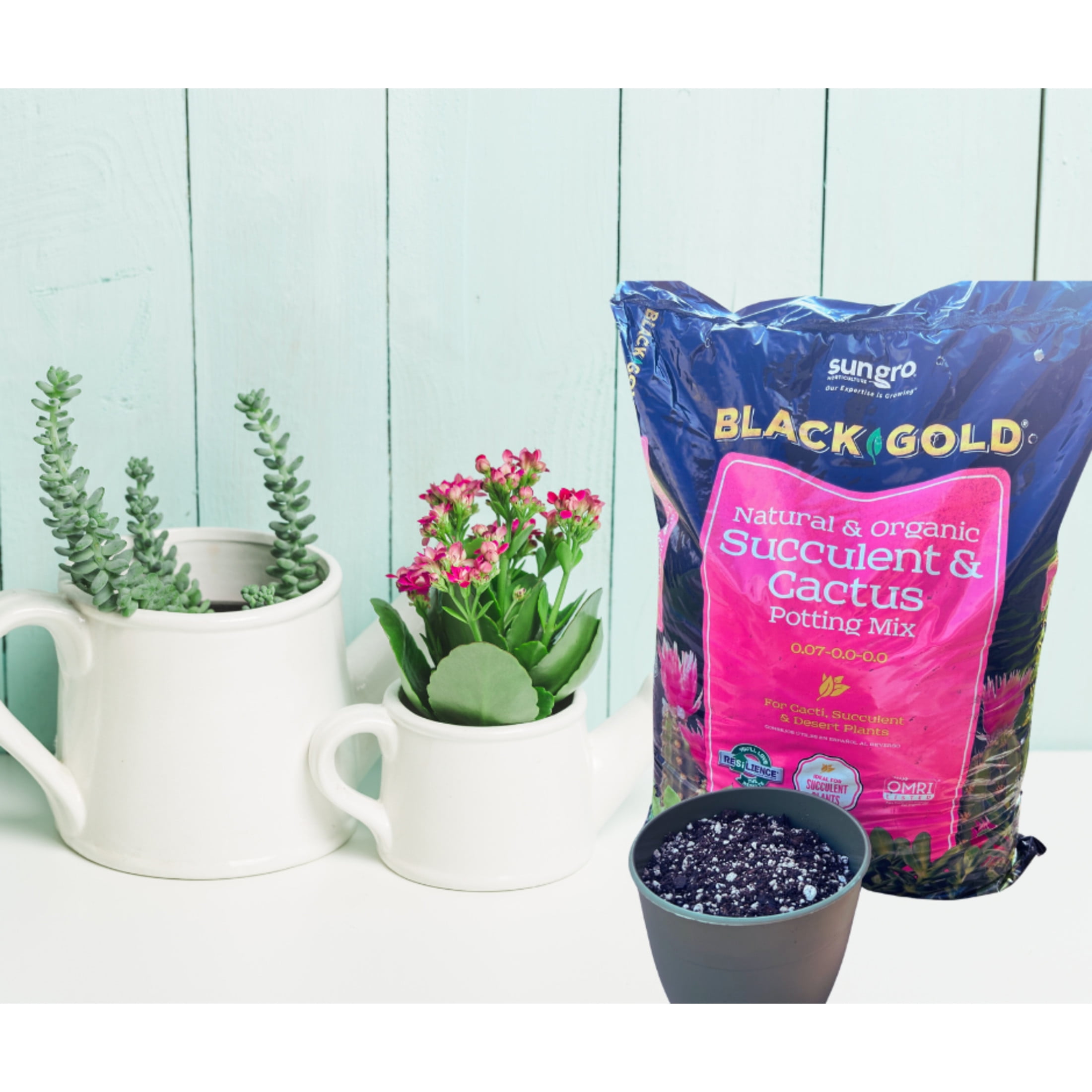 Sun Gro Black Gold Natural & Organic Succulent & Cactus Potting Soil Mix 8 qt., 1 Bag
