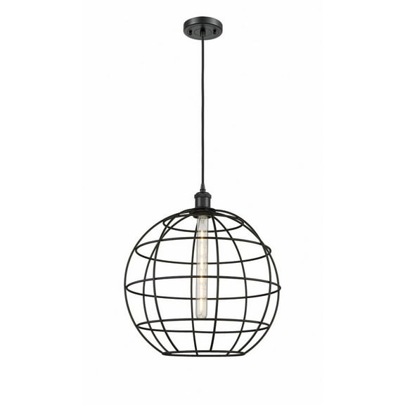 Innovations Lighting Ballston Lake Placid - 1 Light 16" Cord Hung Pendant Matte Black