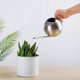 thumbnail image 1 of Regadera de acero inoxidable | Regadera metálica de 1 L con pico largo para plantas de interior y exterior | Acabado cepillado, mango ergonómico, diseño antiderrames, 1 of 9