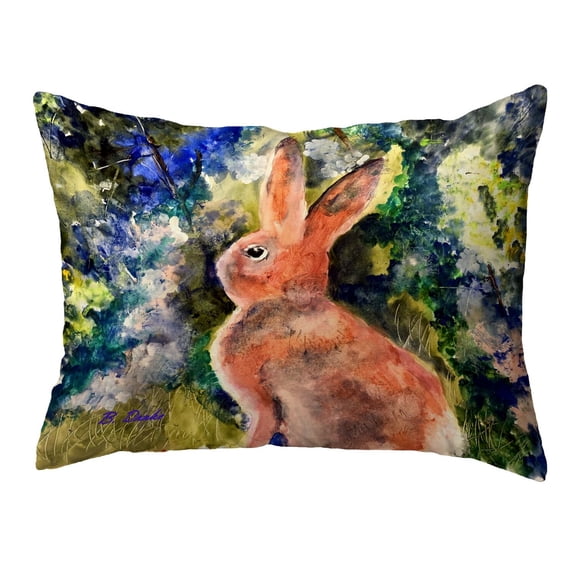 Betsydrake NC1174 16 x 20 in. Cottontail No Cord Pillow