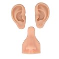 thumbnail image 2 of Practice Model, Flexible Silicone  Model Reusable  For Salon For Teacher Light Skin Color,Medium Skin Color,Dark Skin Color, 2 of 8