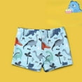 thumbnail image 3 of MEZZALL Boys Swim Trunks Beach Bathing Shorts Toddler Swim Bottoms Stylish Beachwear, 5-6 Years, 3 of 3