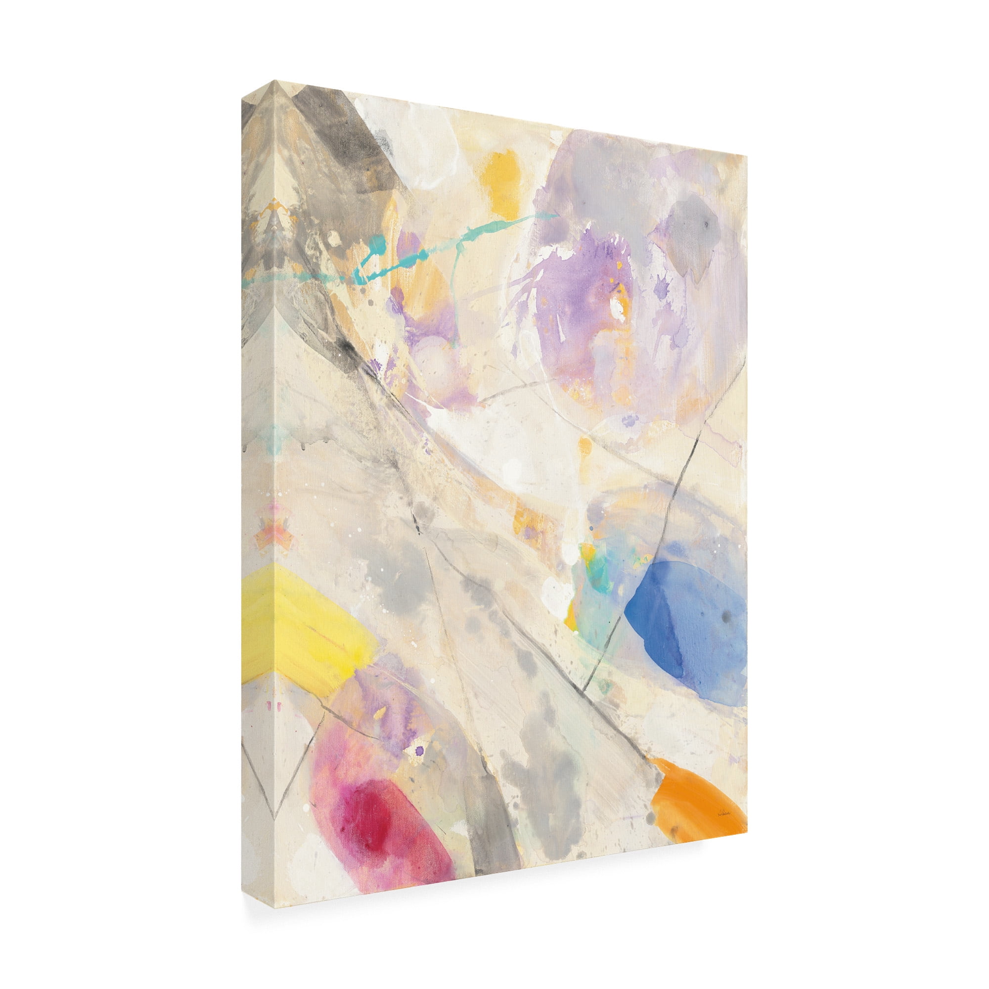 Trademark Fine Art Abstract Canvas Art ' Spring Confetti Ii ' by Albena Hristova
