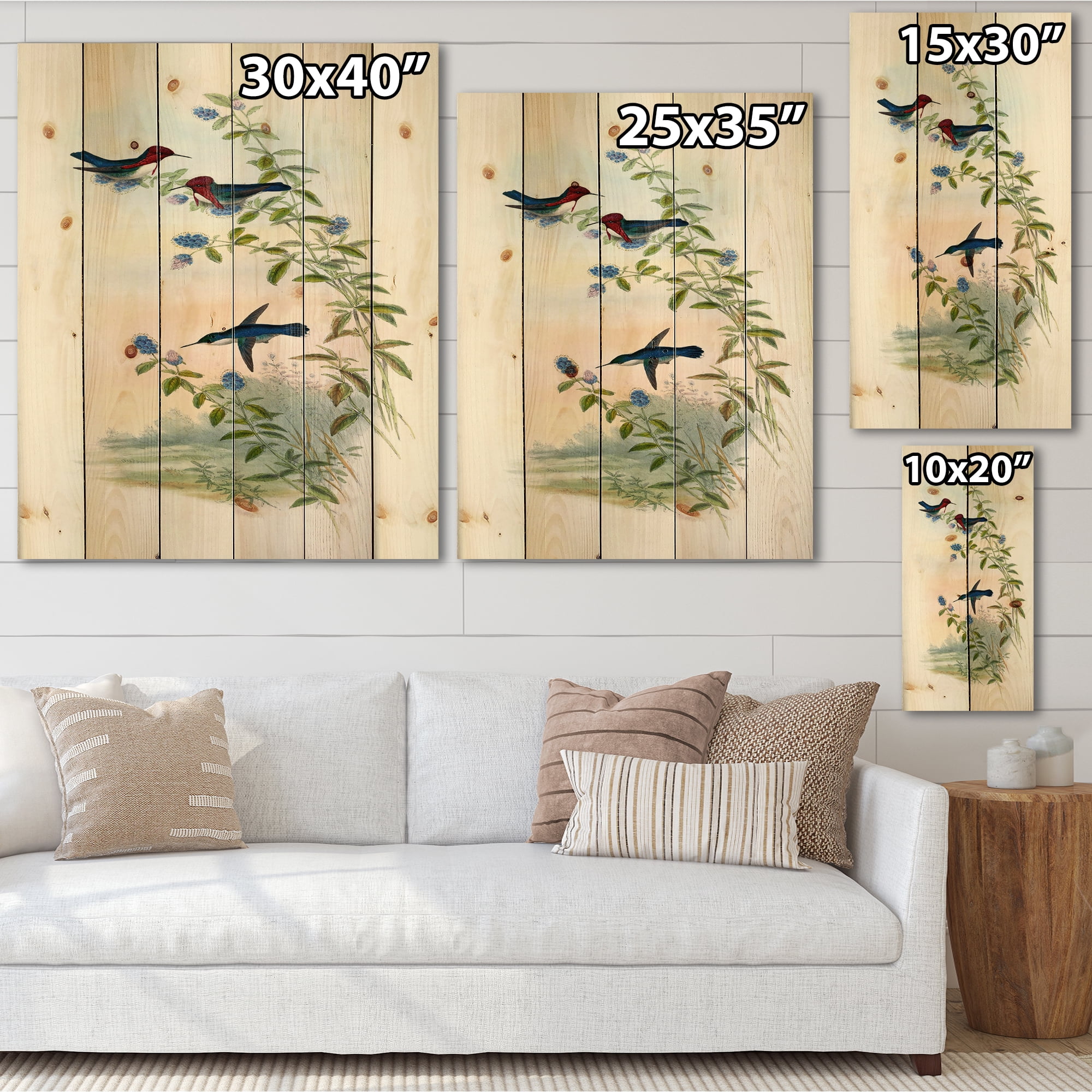 Designart 'Ancient Hummingbird II' Traditional Print on Natural Pine Wood