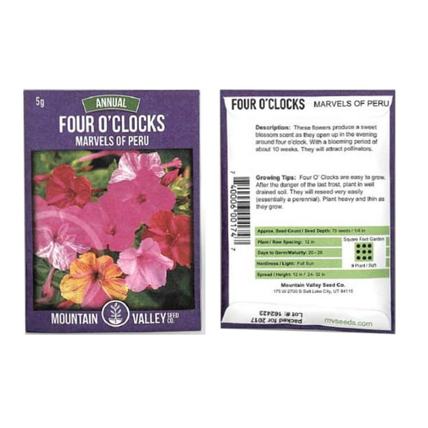 Marvel Of Peru Four O Clock Flower Garden Seeds 5 Gram Packet Annual Flower Gardening Seed Mirabilis Jalapa Walmart Com Walmart Com