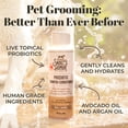 thumbnail image 3 of Champú y acondicionador probiótico para mascotas Skout Honor con aceite de aguacate y omega-3, 97% natural, sin parabenos ni sulfatos, libre de crueldad animal, 16 oz, Dog of The Woods, 3 of 8