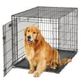 thumbnail image 2 of MidWest Homes LifeStages Folding Metal Dog Crate with Divider Panel, Rubber Feet, Leak-Proof Pan - 42x28x31 inches, 2 of 10