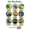 thumbnail image 3 of Valley Farms Squirrel & Wildlife Mix Wild Bird Food, 3 of 12
