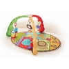 Fisher-Price - Luv U Zoo Musical Mirror Activity Gym