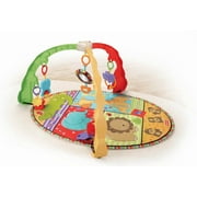Fisher-Price - Luv U Zoo Musical Mirror Activity Gym