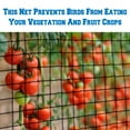 thumbnail image 3 of Sunny Bird Netting Net For Bird Poultry Avaiary Game Pens Black Mesh-50' X 50', 3 of 7